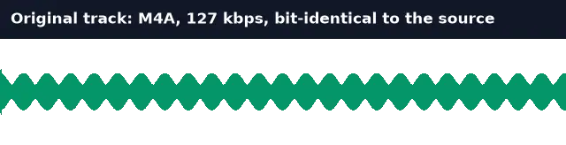 Waveform of the extracted M4A, identical to the source track